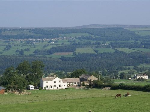 Bed and Breakfast Capple Bank Farm à Wensley Extérieur photo